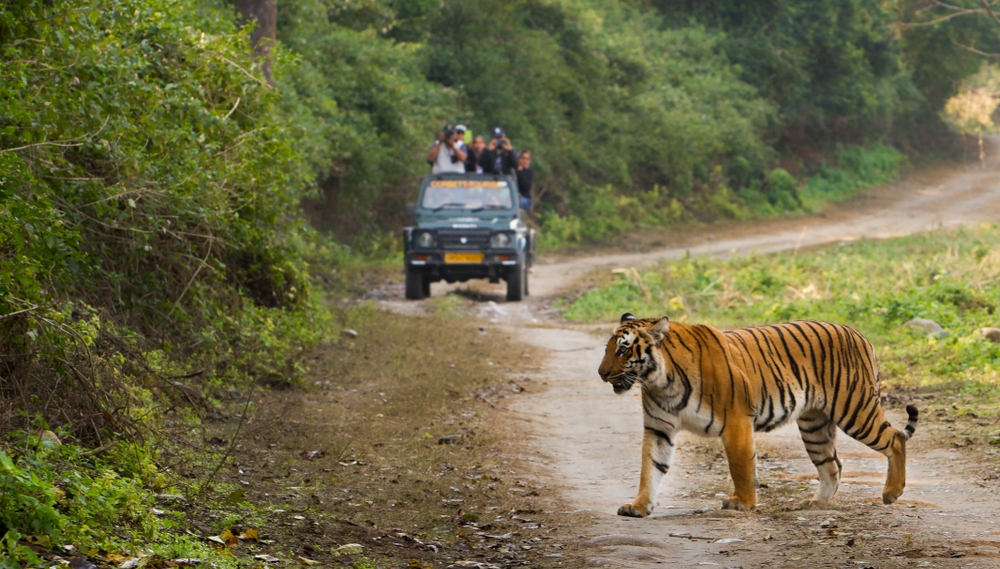 3-Day Retreat at Jim Corbett